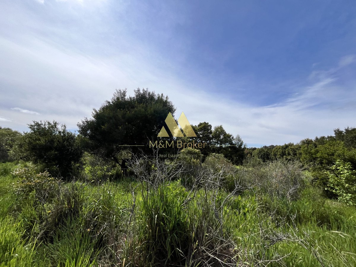 Chacra ID.626 - Venta chacra 6ha próximo a Laguna de los Cisnes Punta del Este