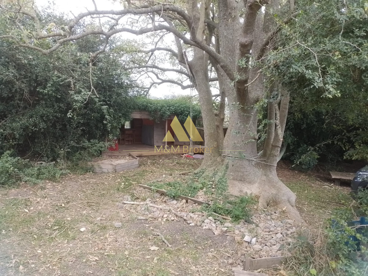 Chacra ID.626 - Venta chacra 6ha próximo a Laguna de los Cisnes Punta del Este