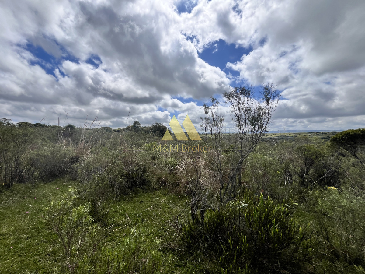Chacra ID.622 - Venta chacra 4,5ha Maldonado