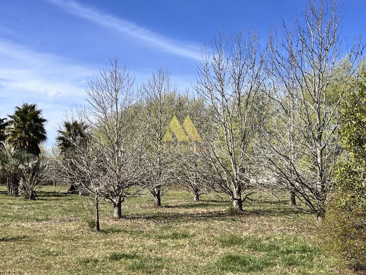 Chacra ID.462 - Venta chacra 5Ha Zona La Pataia Punta del Este