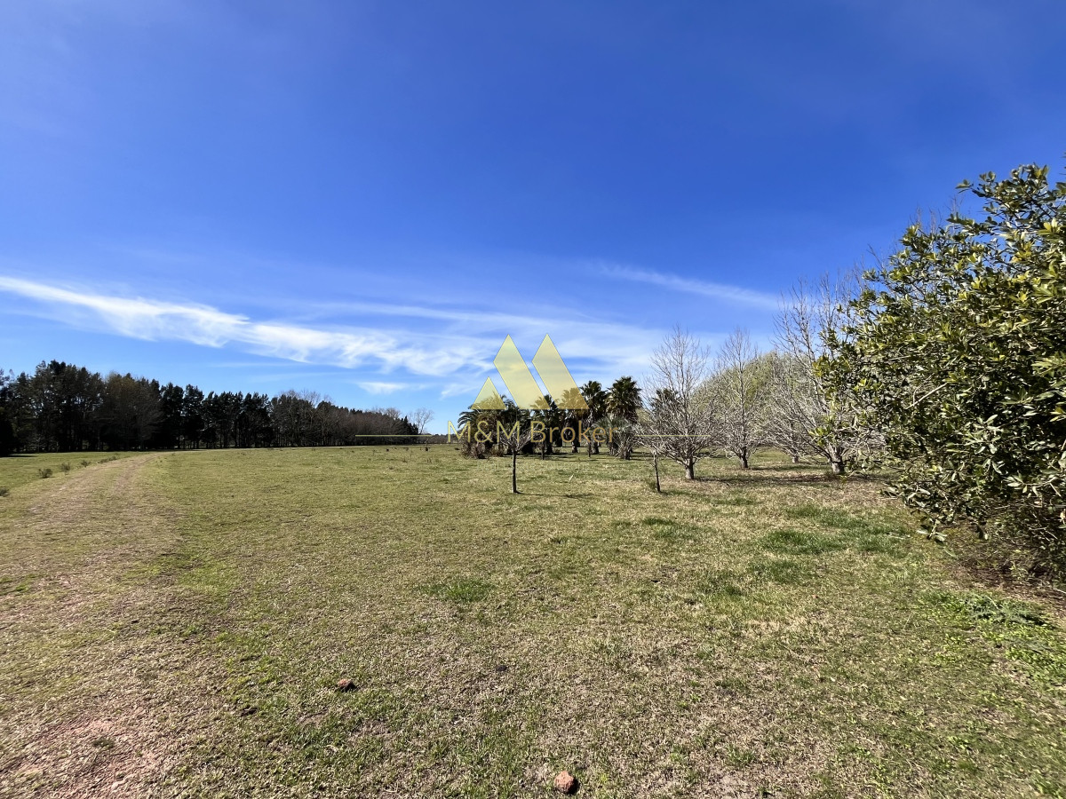 Chacra ID.462 - Venta chacra 5Ha Zona La Pataia Punta del Este