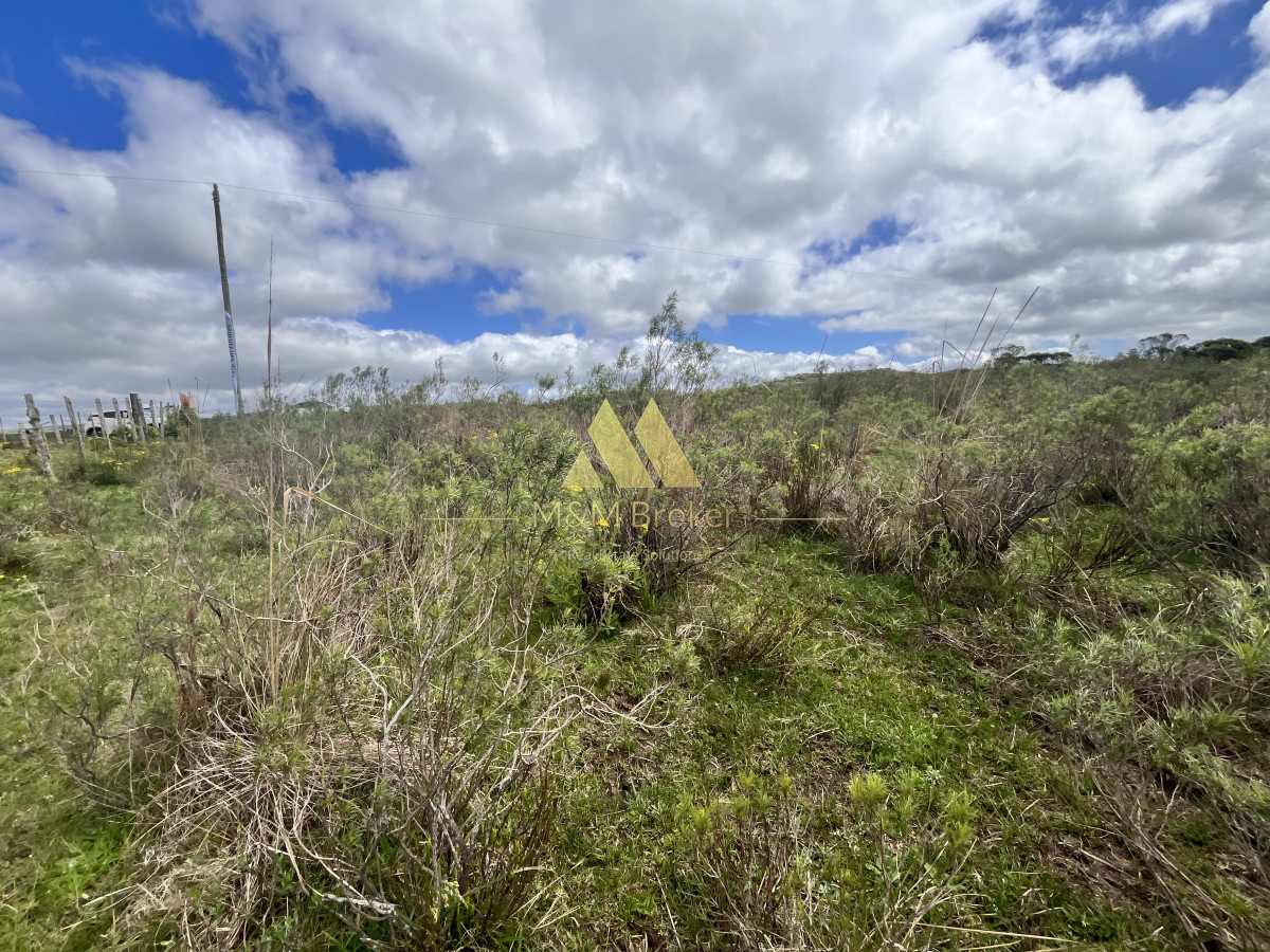 Chacra ID.622 - Venta chacra 4,5ha Maldonado