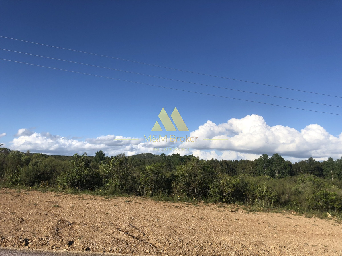 Chacra ID.422 - Venta chacra 5,6 ha Pan de Azucar, Maldonado