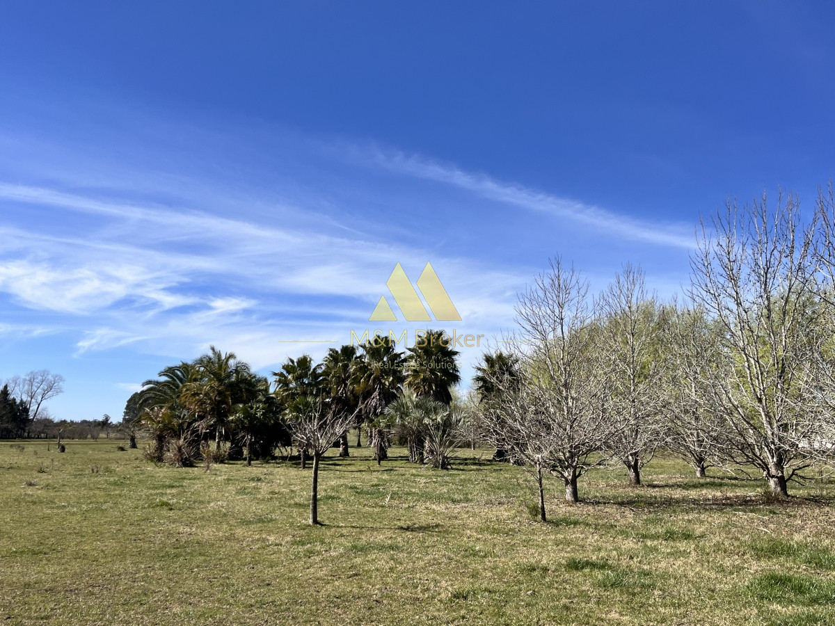 Chacra ID.462 - Venta chacra 5Ha Zona La Pataia Punta del Este