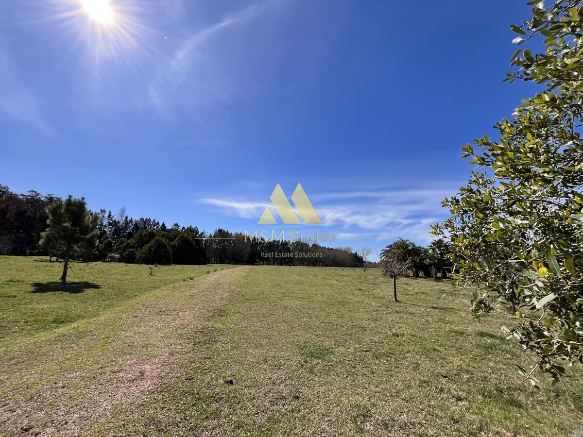 Chacra ID.462 - Venta chacra 5Ha Zona La Pataia Punta del Este