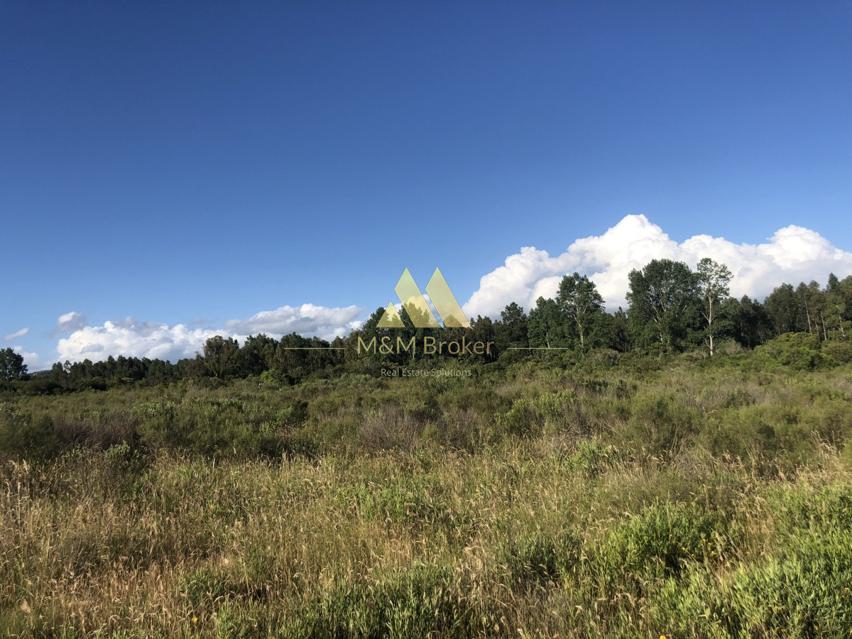 Chacra ID.422 - Venta chacra 5,6 ha Pan de Azucar, Maldonado
