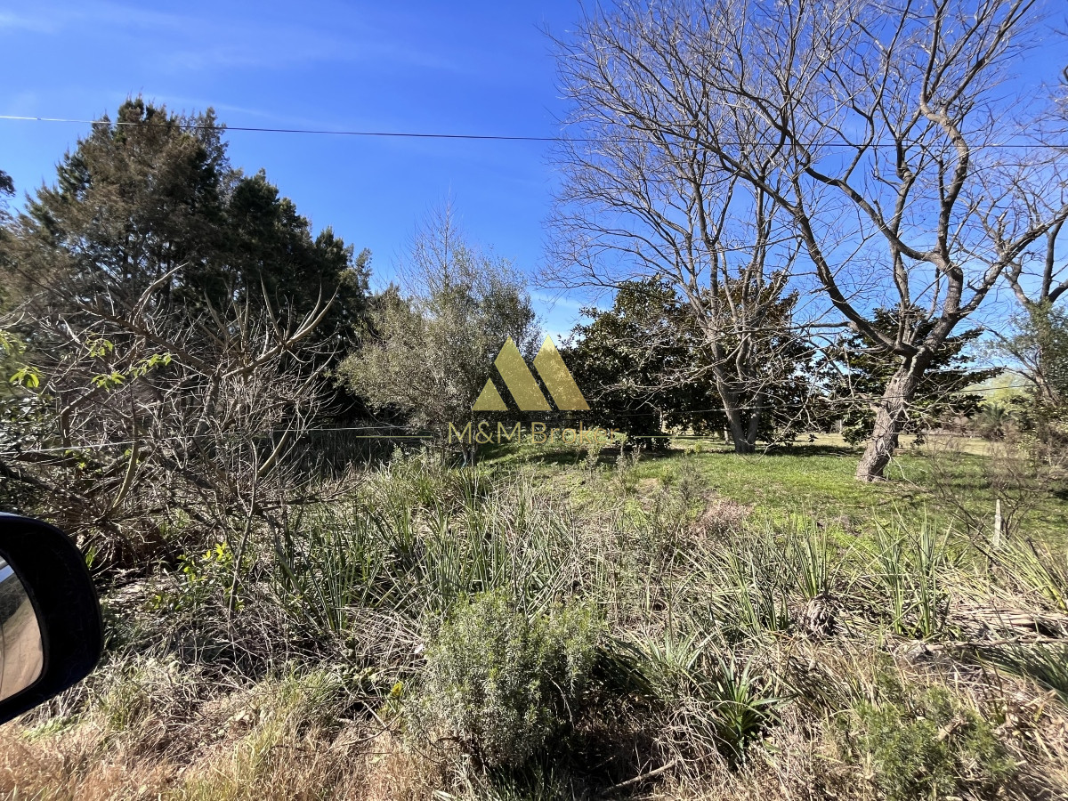 Chacra ID.462 - Venta chacra 5Ha Zona La Pataia Punta del Este