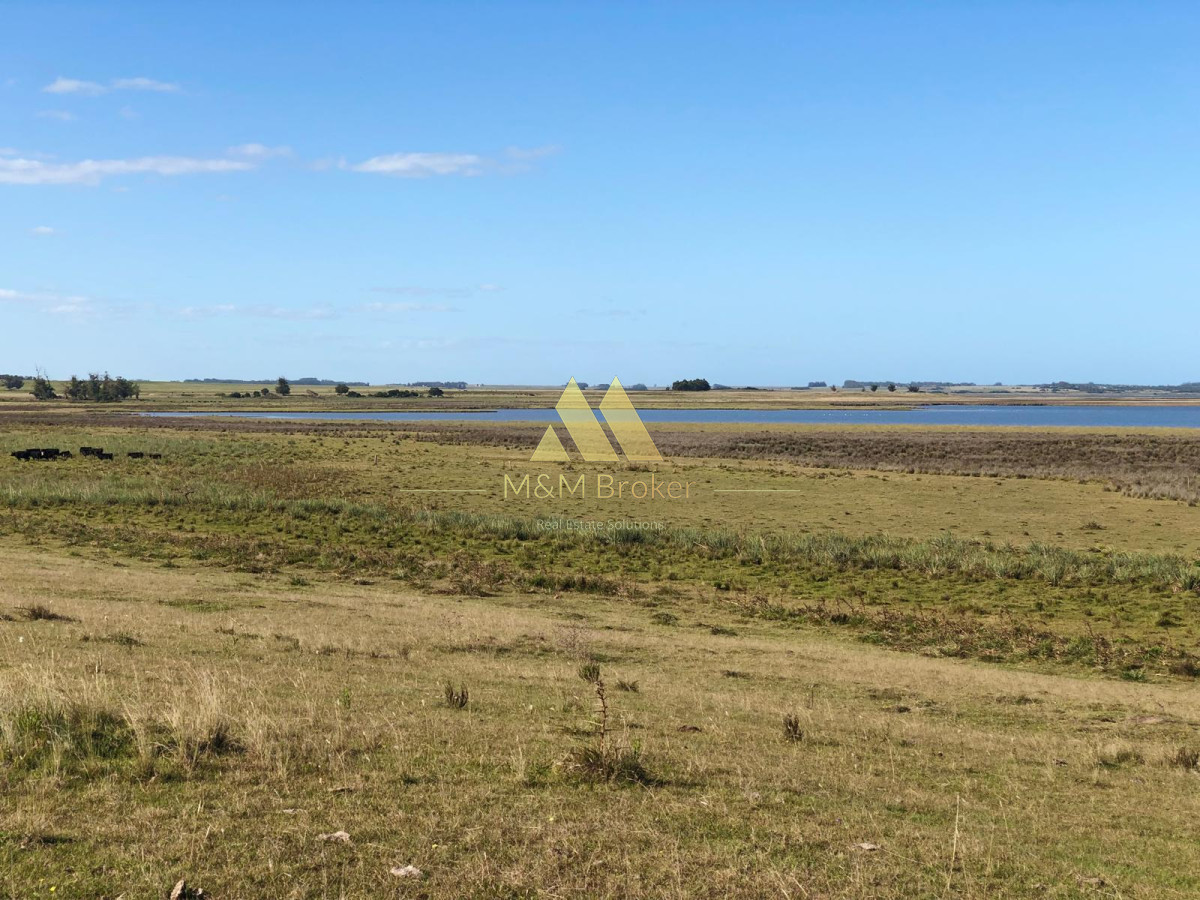 Chacra ID.805 - Chacra en Venta en Laguna de José Ignacio