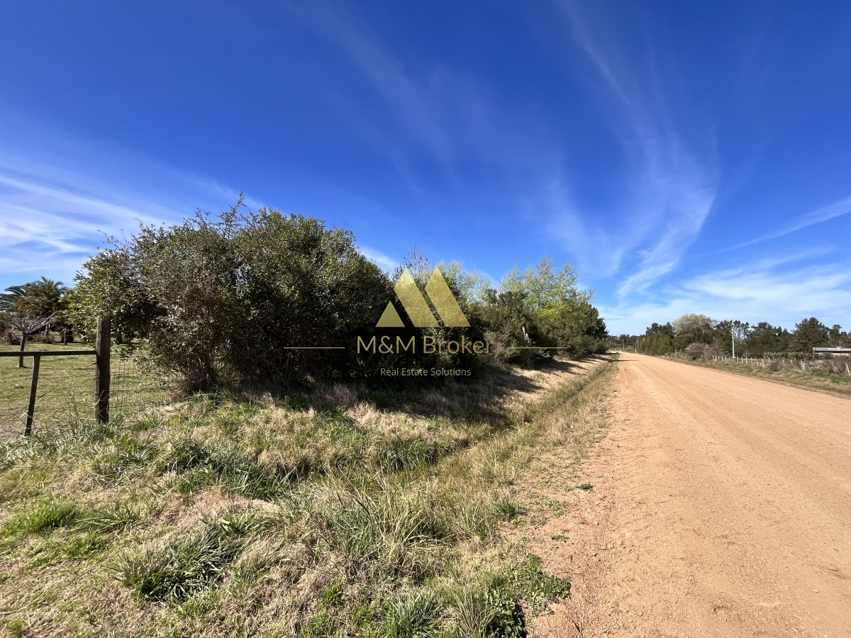 Chacra ID.462 - Venta chacra 5Ha Zona La Pataia Punta del Este