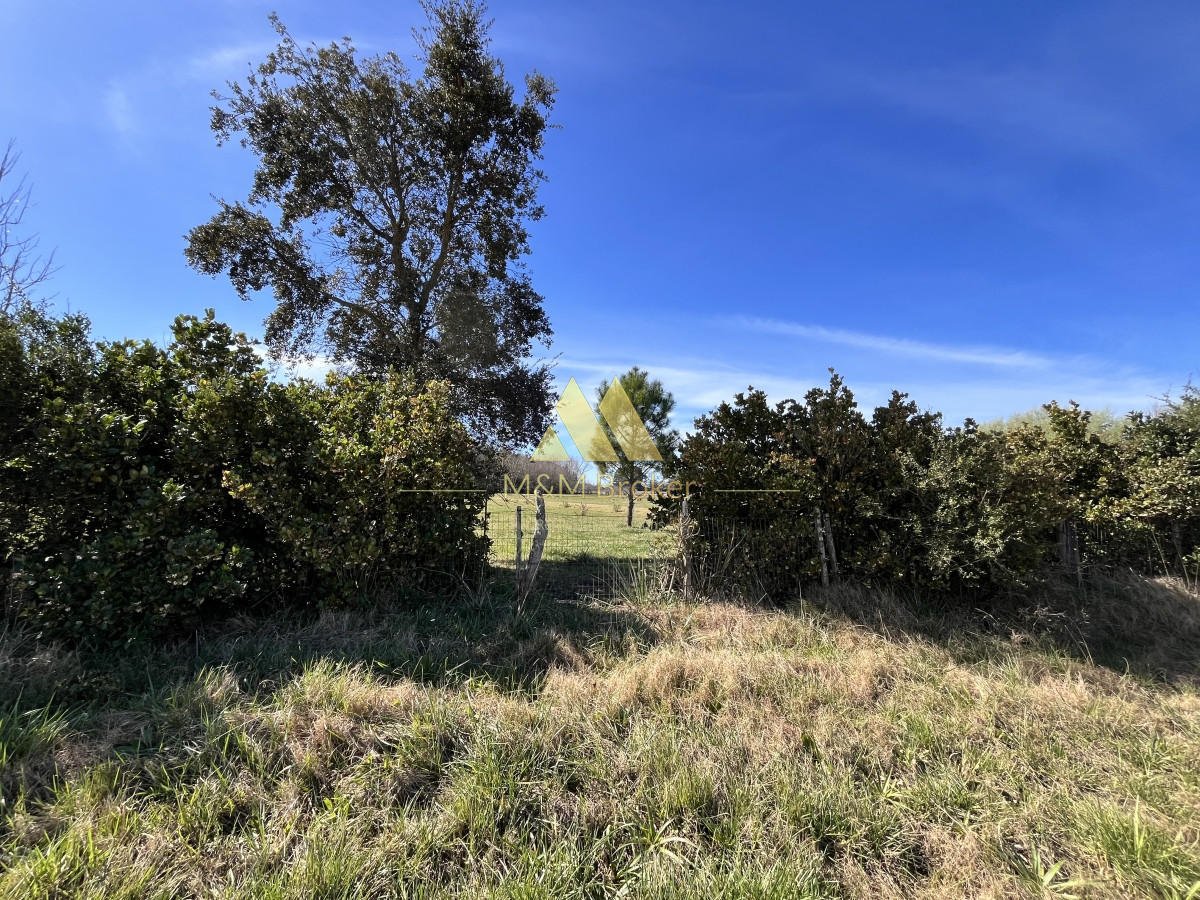 Chacra ID.462 - Venta chacra 5Ha Zona La Pataia Punta del Este