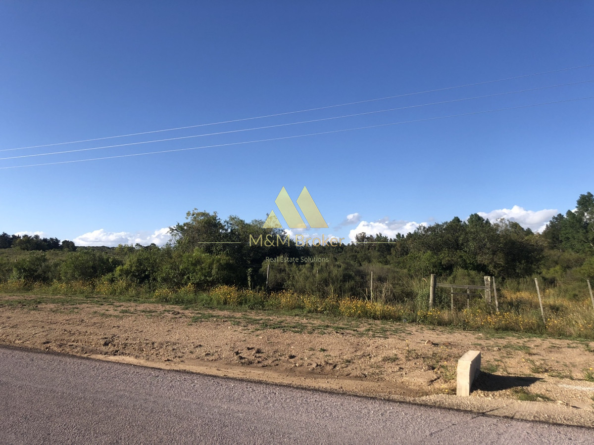 Chacra ID.422 - Venta chacra 5,6 ha Pan de Azucar, Maldonado