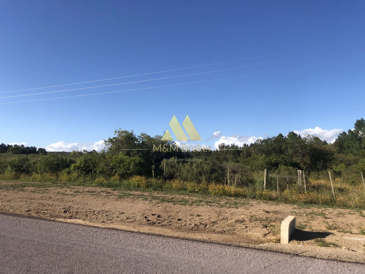 Ruta 60 - GoPunta - Portal Inmobiliario de Punta del Este - Maldonado