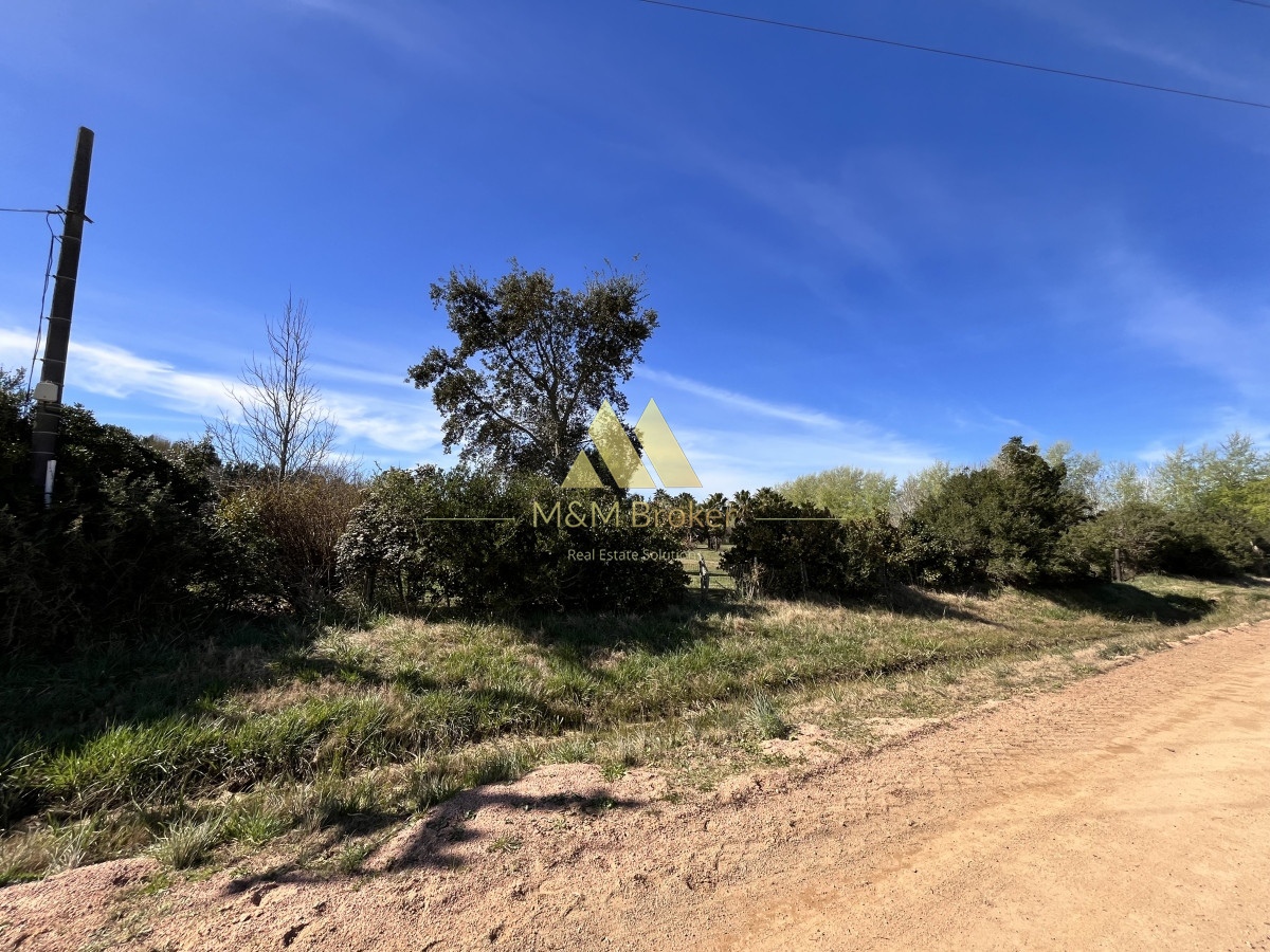 Chacra ID.462 - Venta chacra 5Ha Zona La Pataia Punta del Este