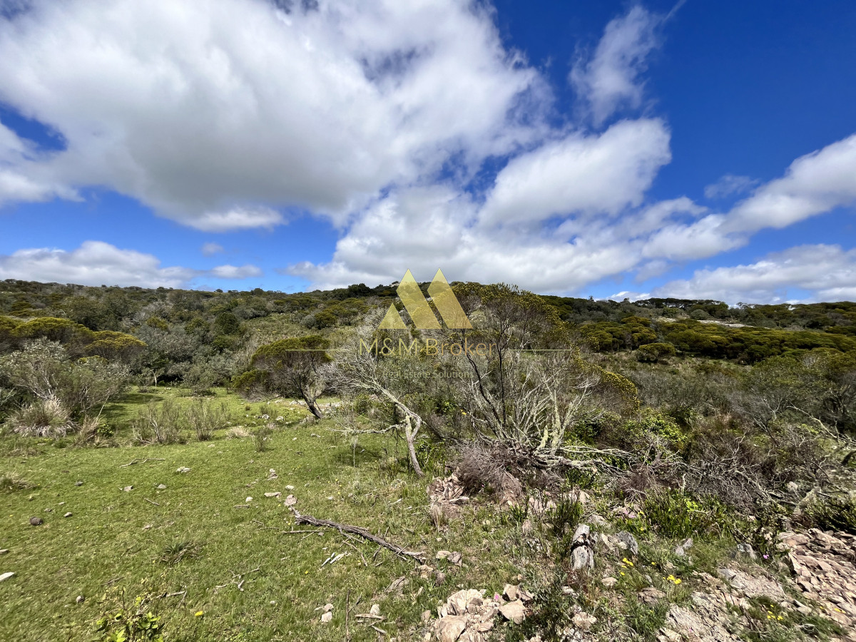 Chacra ID.624 - Venta chacra 3,5 Ha Ruta 39 Maldonado