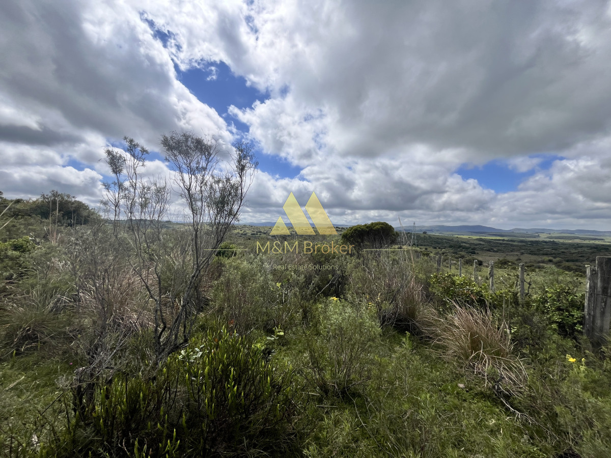 Chacra ID.622 - Venta chacra 4,5ha Maldonado