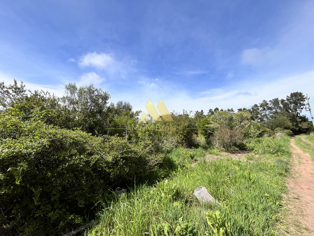 Chacra ID.626 - Venta chacra 6ha próximo a Laguna de los Cisnes Punta del Este