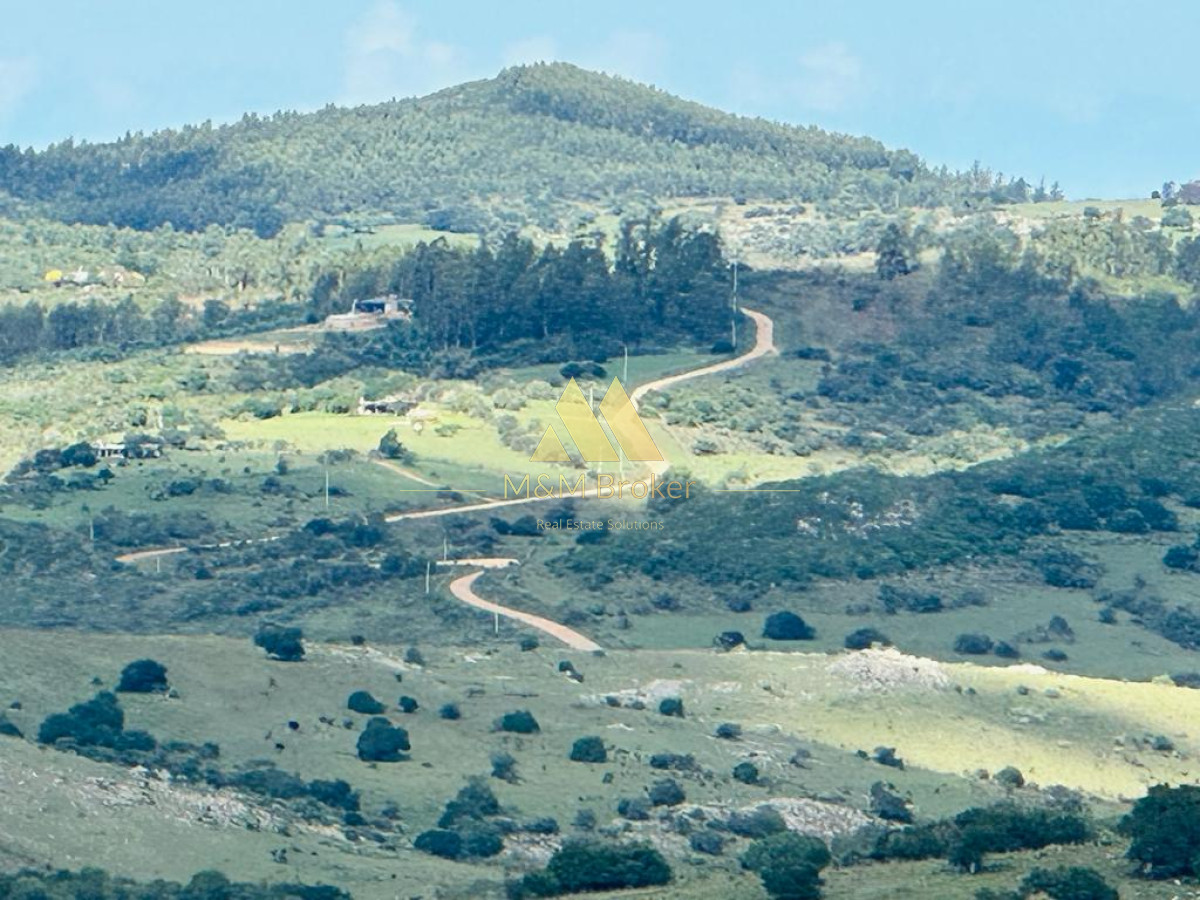 Chacra ID.482 - Venta chacra 5ha Pan de azucar