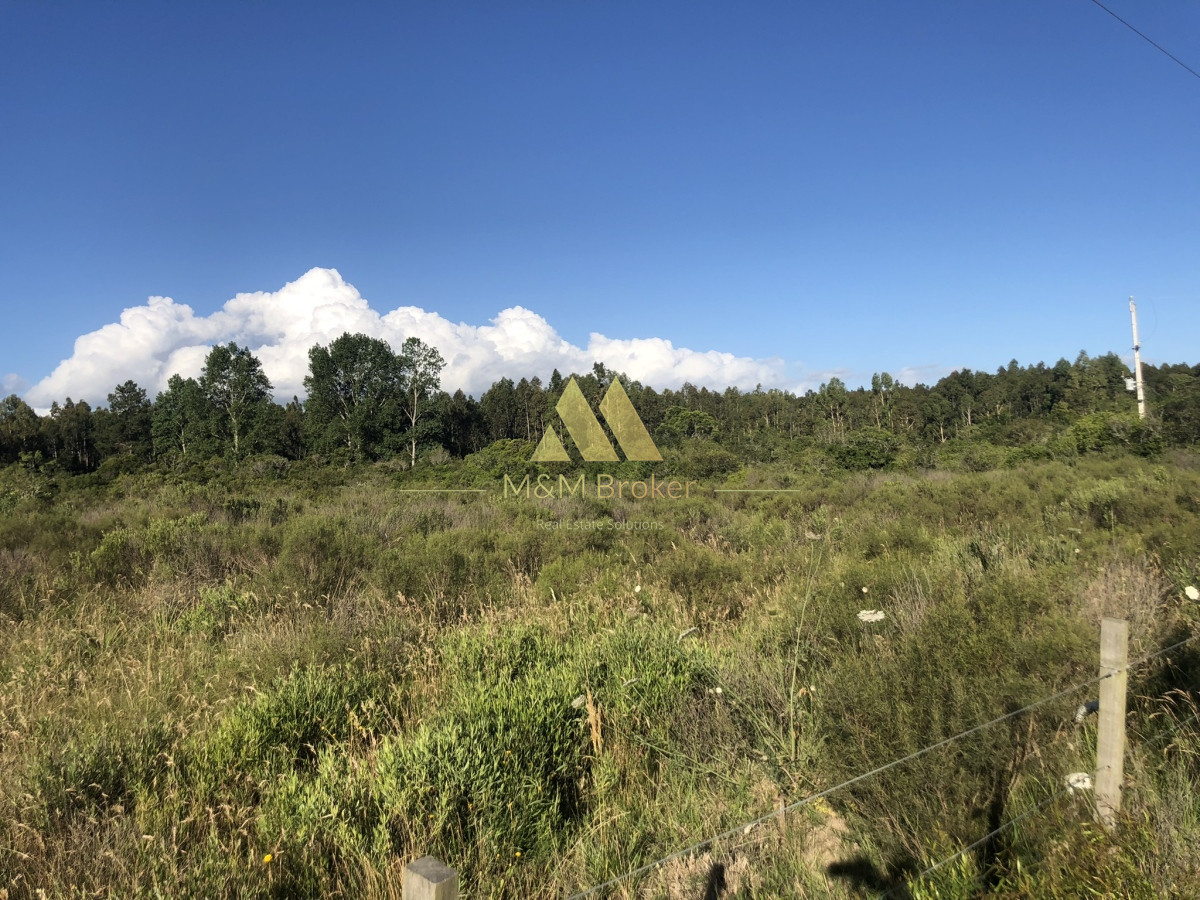 Chacra ID.422 - Venta chacra 5,6 ha Pan de Azucar, Maldonado
