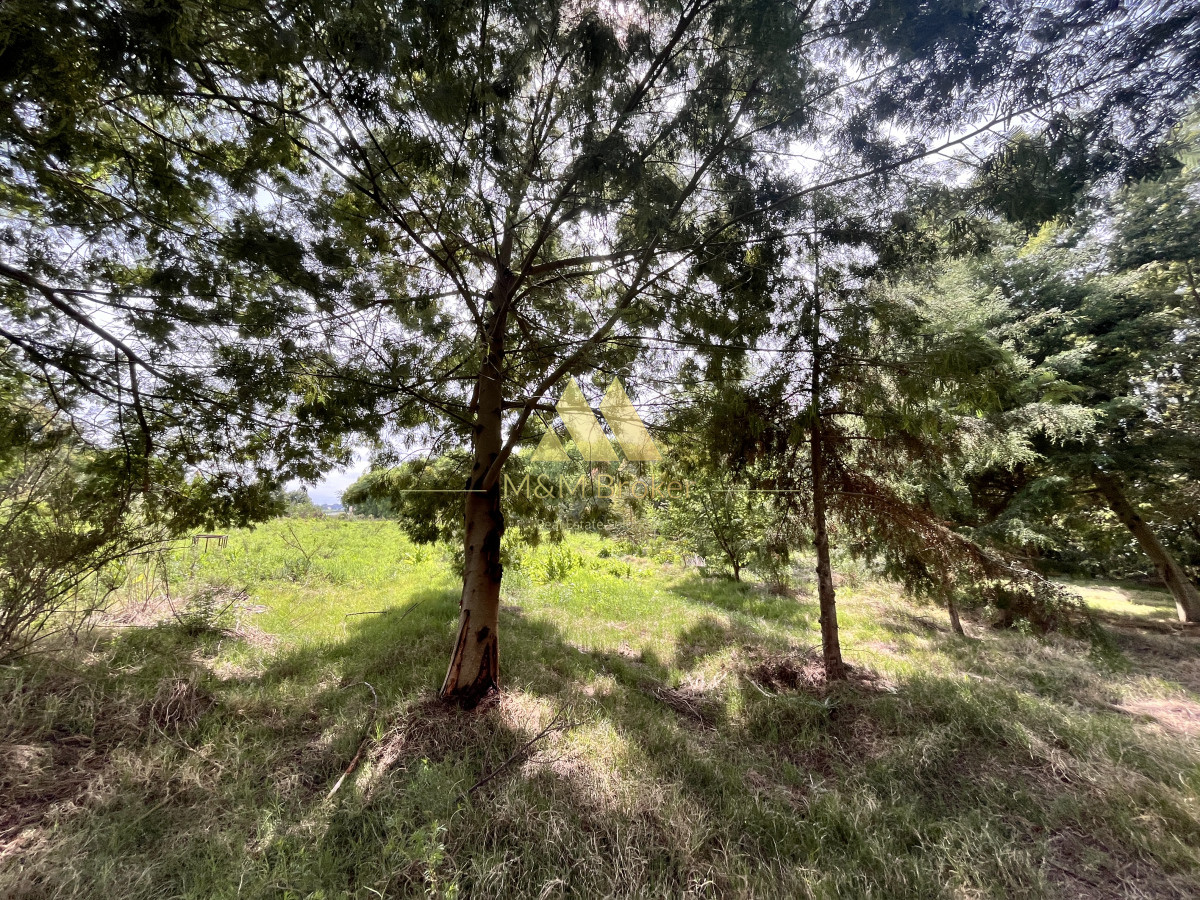 Chacra ID.626 - Venta chacra 6ha próximo a Laguna de los Cisnes Punta del Este