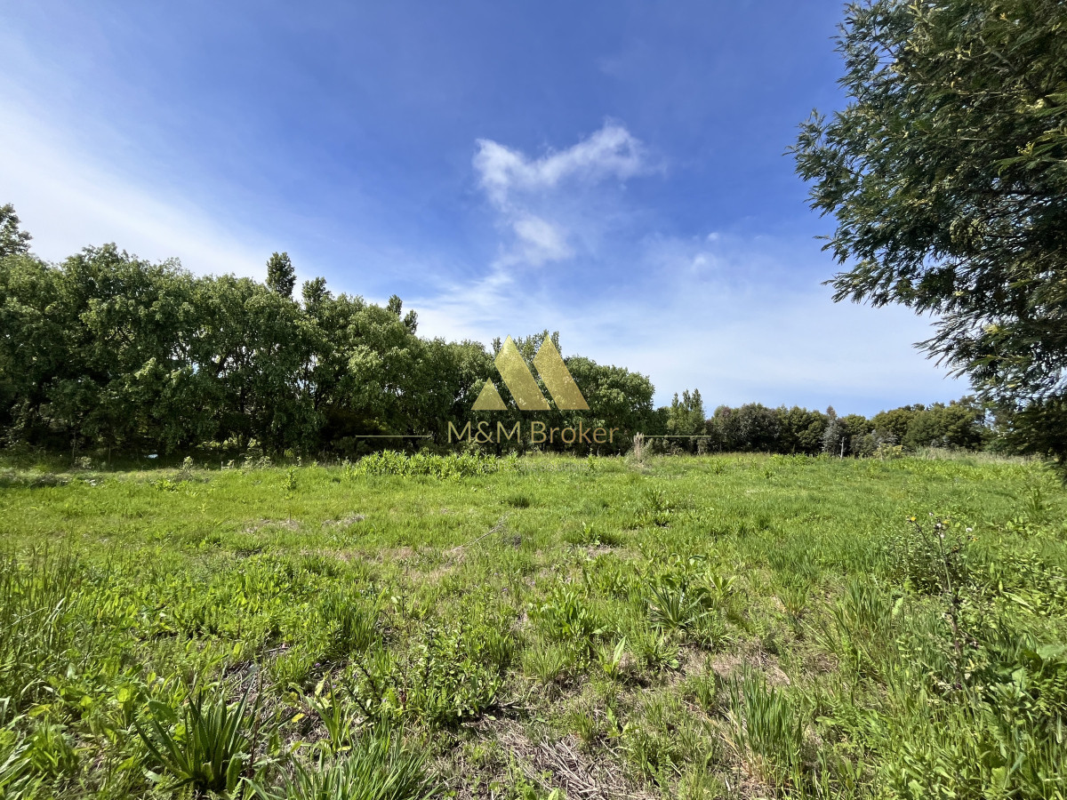 Ruta Interbalnearia - GoPunta - Portal Inmobiliario de Punta del Este - Maldonado