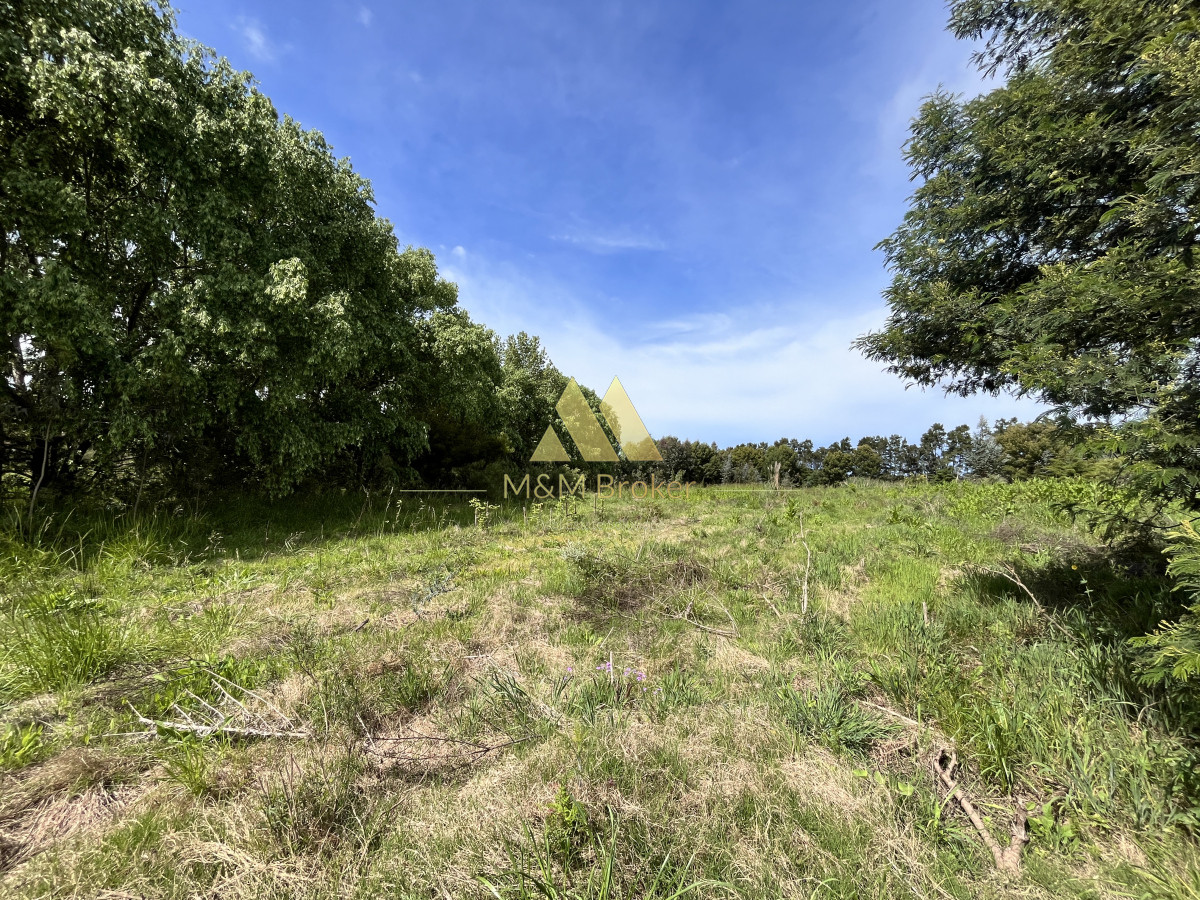Chacra ID.626 - Venta chacra 6ha próximo a Laguna de los Cisnes Punta del Este