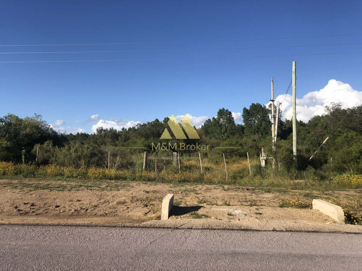 Chacra ID.422 - Venta chacra 5,6 ha Pan de Azucar, Maldonado