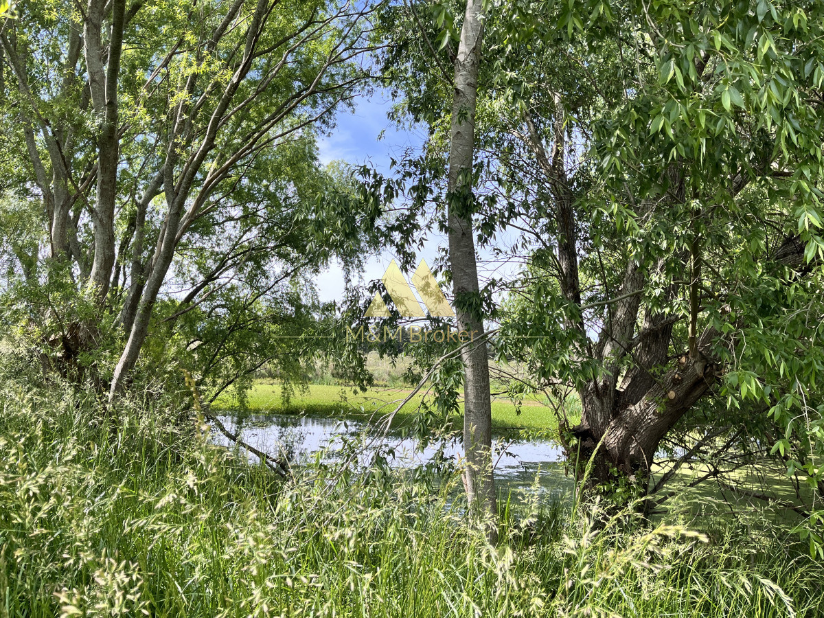 Ruta Interbalnearia - GoPunta - Portal Inmobiliario de Punta del Este - Maldonado