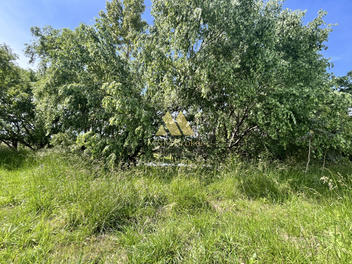 Chacra ID.626 - Venta chacra 6ha próximo a Laguna de los Cisnes Punta del Este