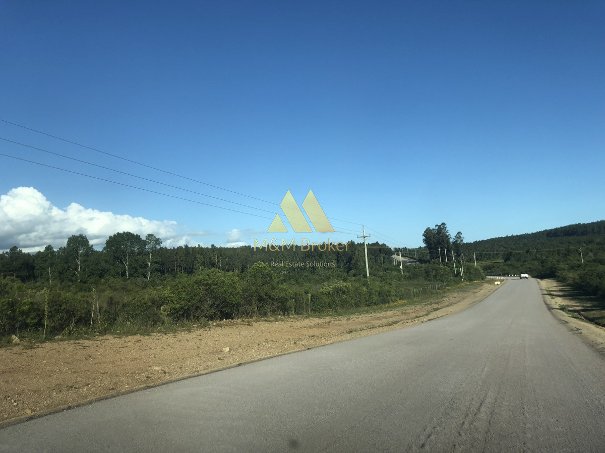 Chacra ID.422 - Venta chacra 5,6 ha Pan de Azucar, Maldonado