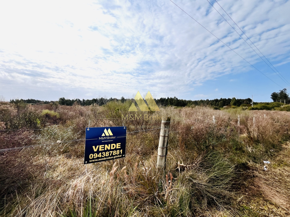 Chacra ID.422 - Venta chacra 5,6 ha Pan de Azucar, Maldonado