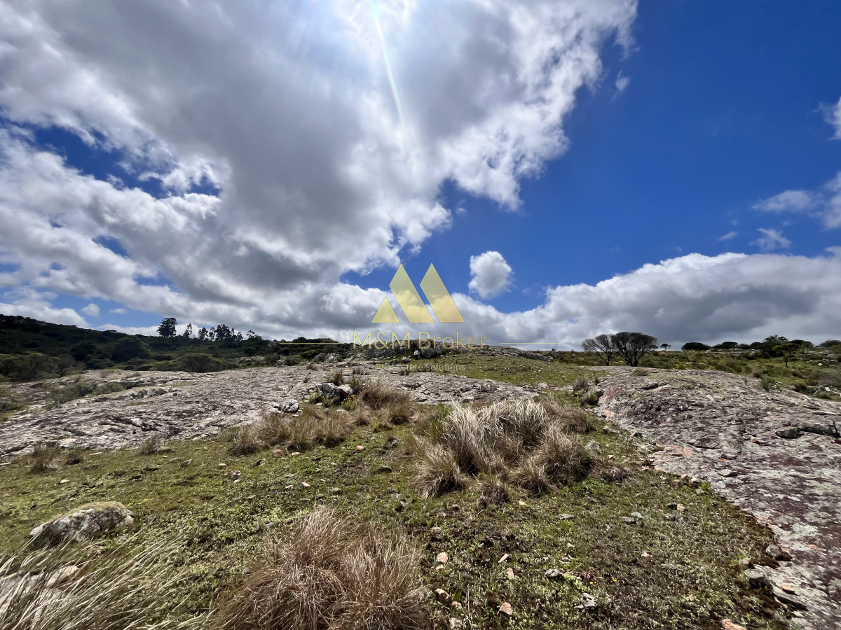 Chacra ID.624 - Venta chacra 3,5 Ha Ruta 39 Maldonado