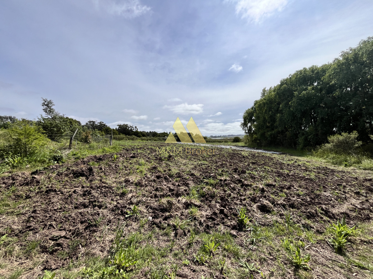 Chacra ID.626 - Venta chacra 6ha próximo a Laguna de los Cisnes Punta del Este