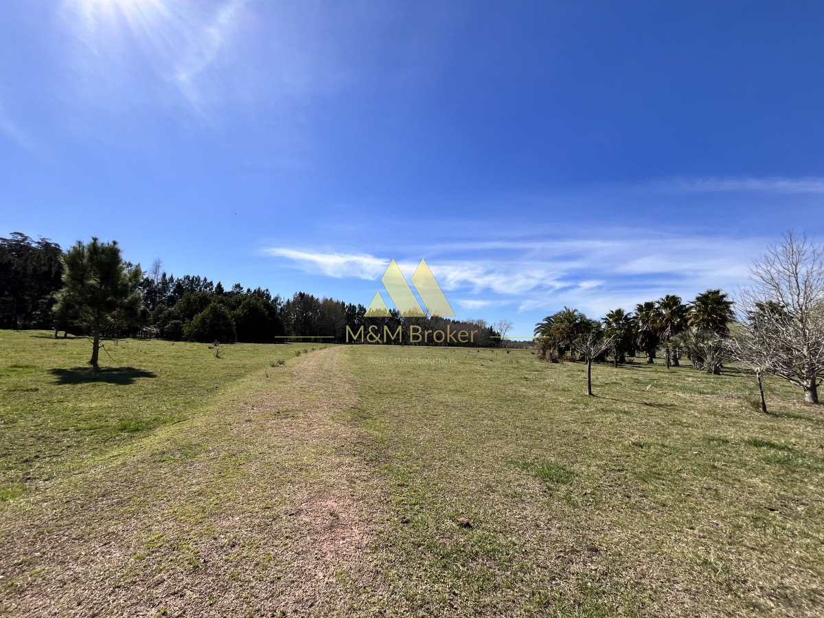 Chacra ID.462 - Venta chacra 5Ha Zona La Pataia Punta del Este