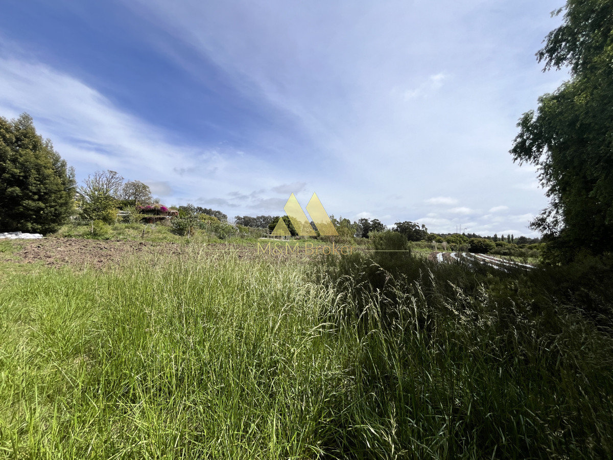 Chacra ID.626 - Venta chacra 6ha próximo a Laguna de los Cisnes Punta del Este