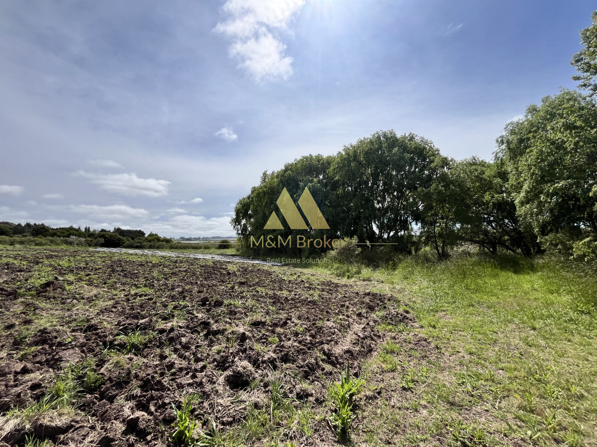 Chacra ID.626 - Venta chacra 6ha próximo a Laguna de los Cisnes Punta del Este