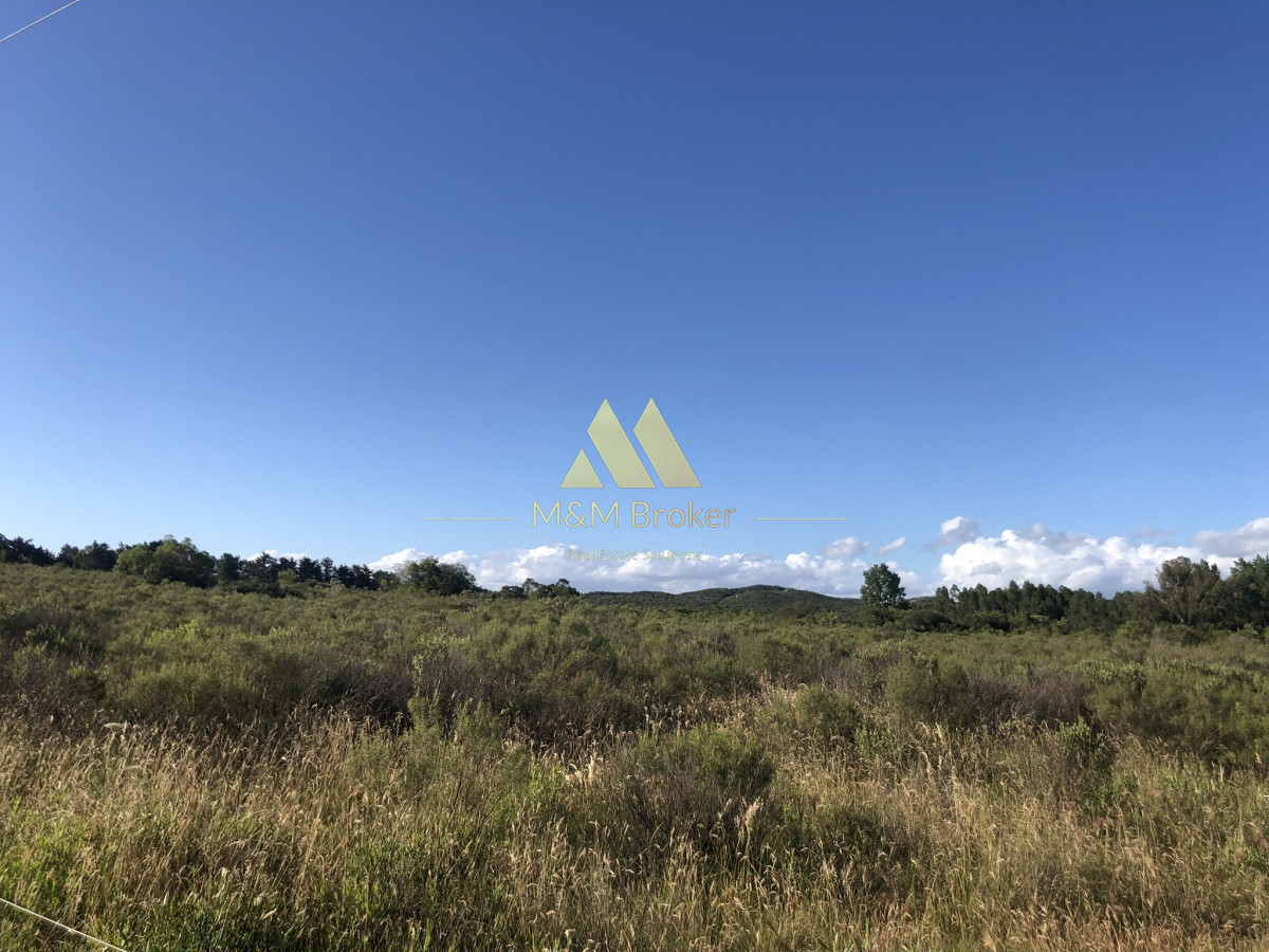 Chacra ID.422 - Venta chacra 5,6 ha Pan de Azucar, Maldonado