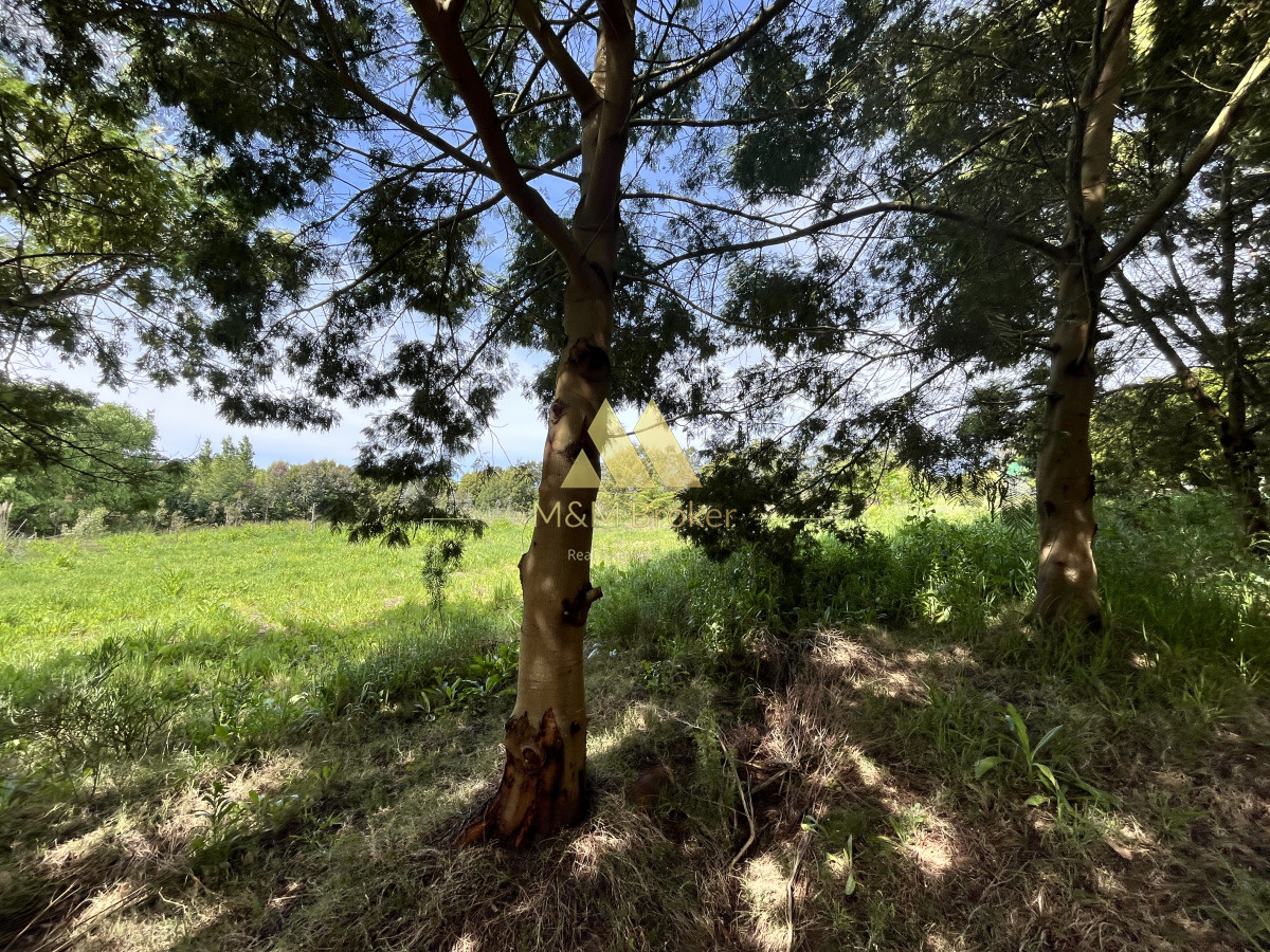 Chacra ID.626 - Venta chacra 6ha próximo a Laguna de los Cisnes Punta del Este