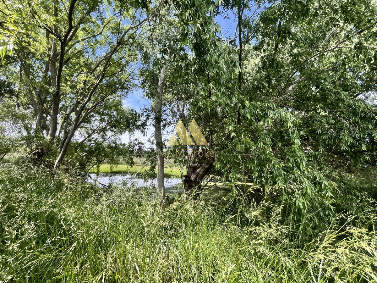 Chacra ID.626 - Venta chacra 6ha próximo a Laguna de los Cisnes Punta del Este