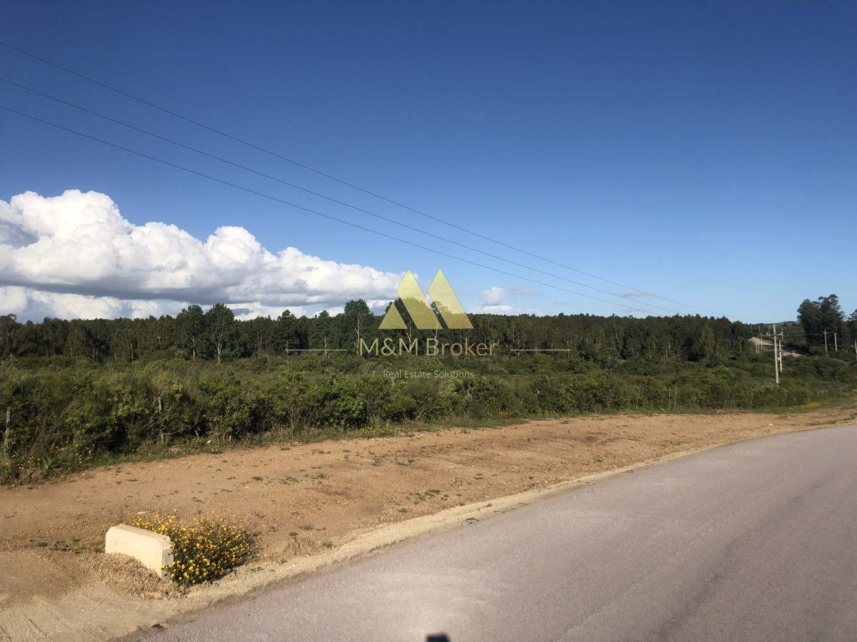 Chacra ID.422 - Venta chacra 5,6 ha Pan de Azucar, Maldonado