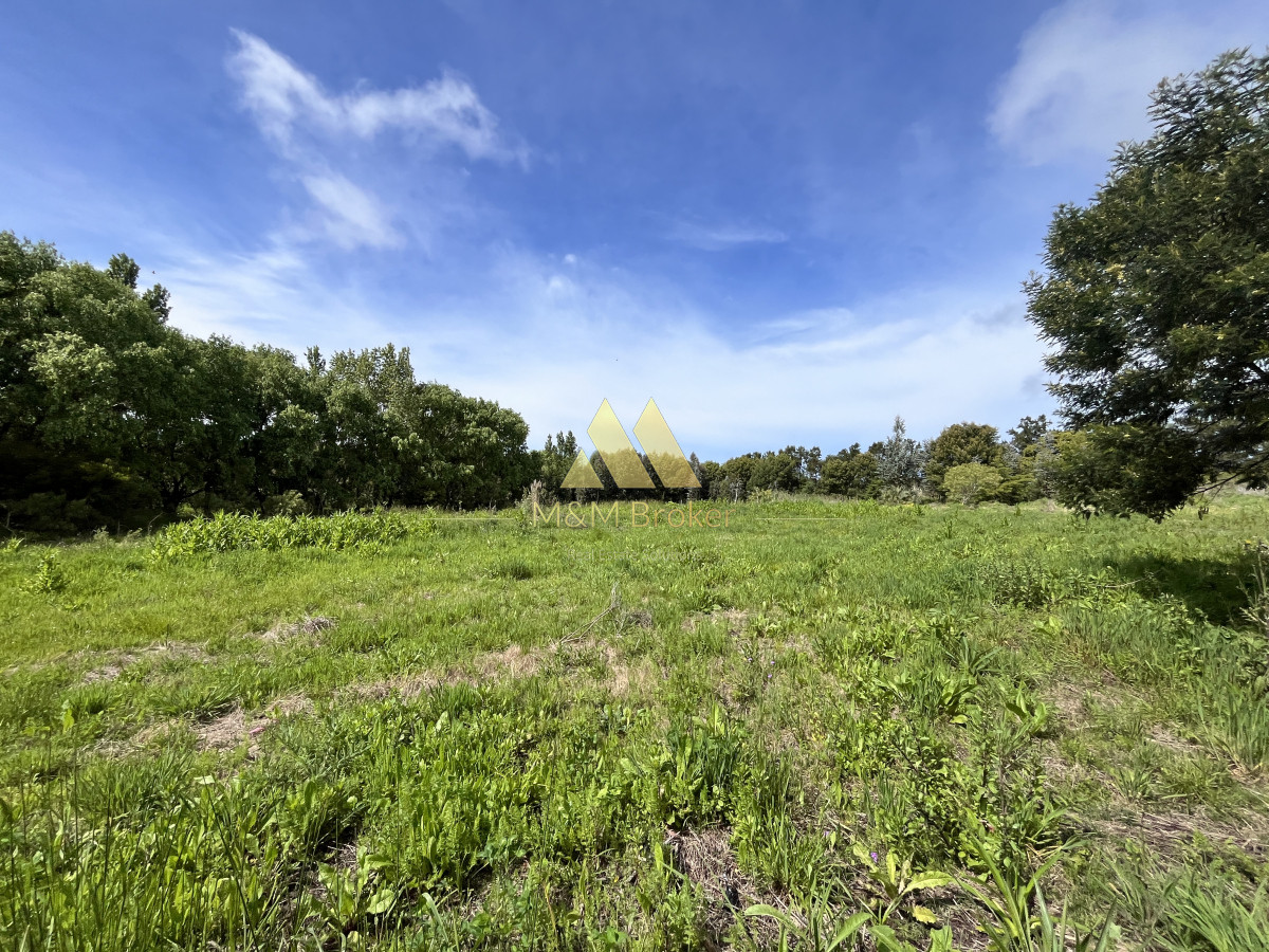 Chacra ID.626 - Venta chacra 6ha próximo a Laguna de los Cisnes Punta del Este