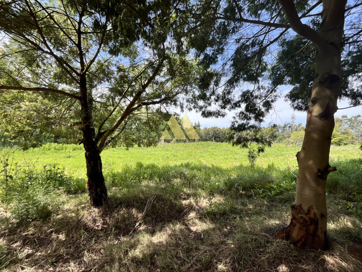 Chacra ID.626 - Venta chacra 6ha próximo a Laguna de los Cisnes Punta del Este