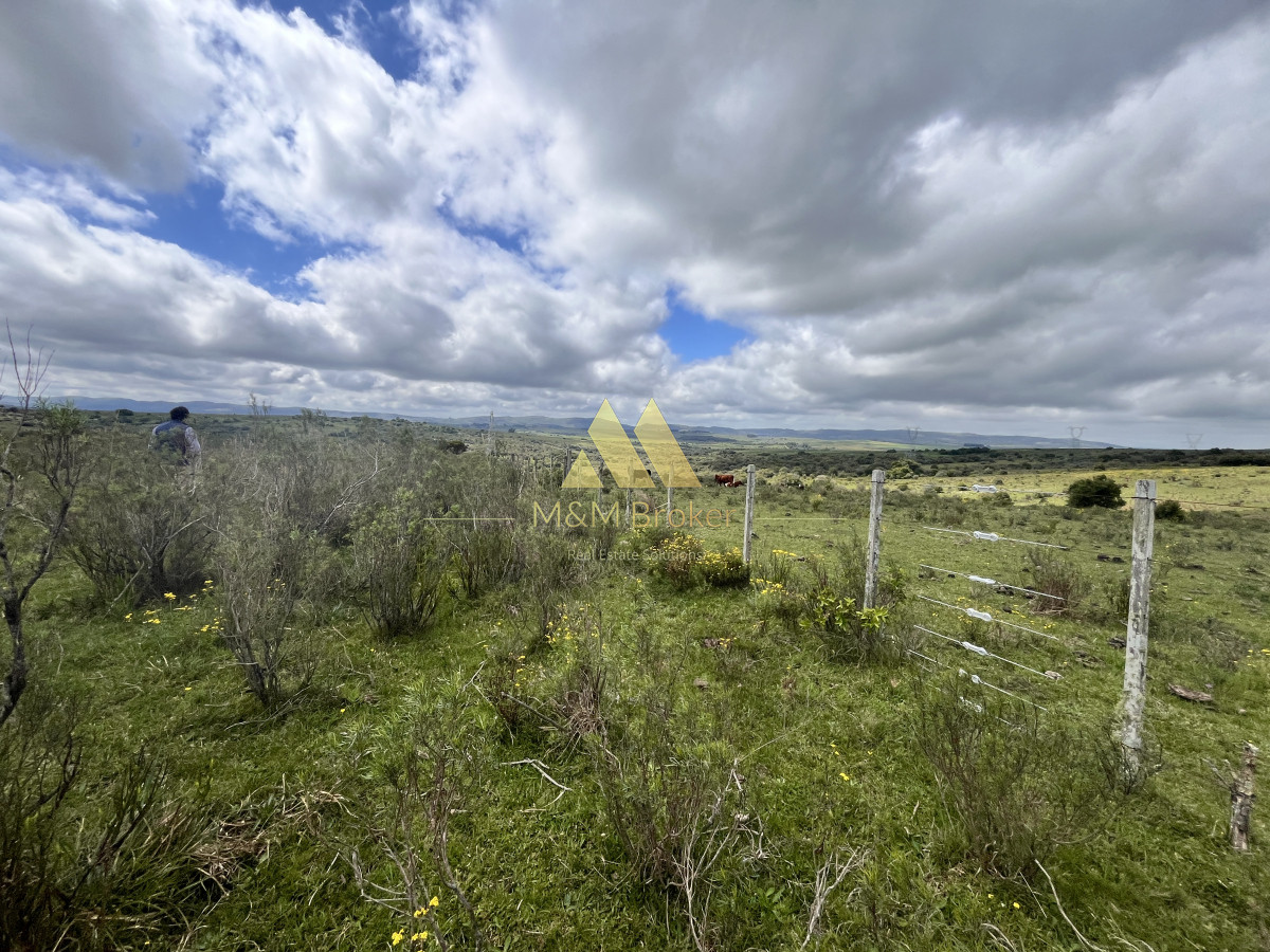 Chacra ID.622 - Venta chacra 4,5ha Maldonado