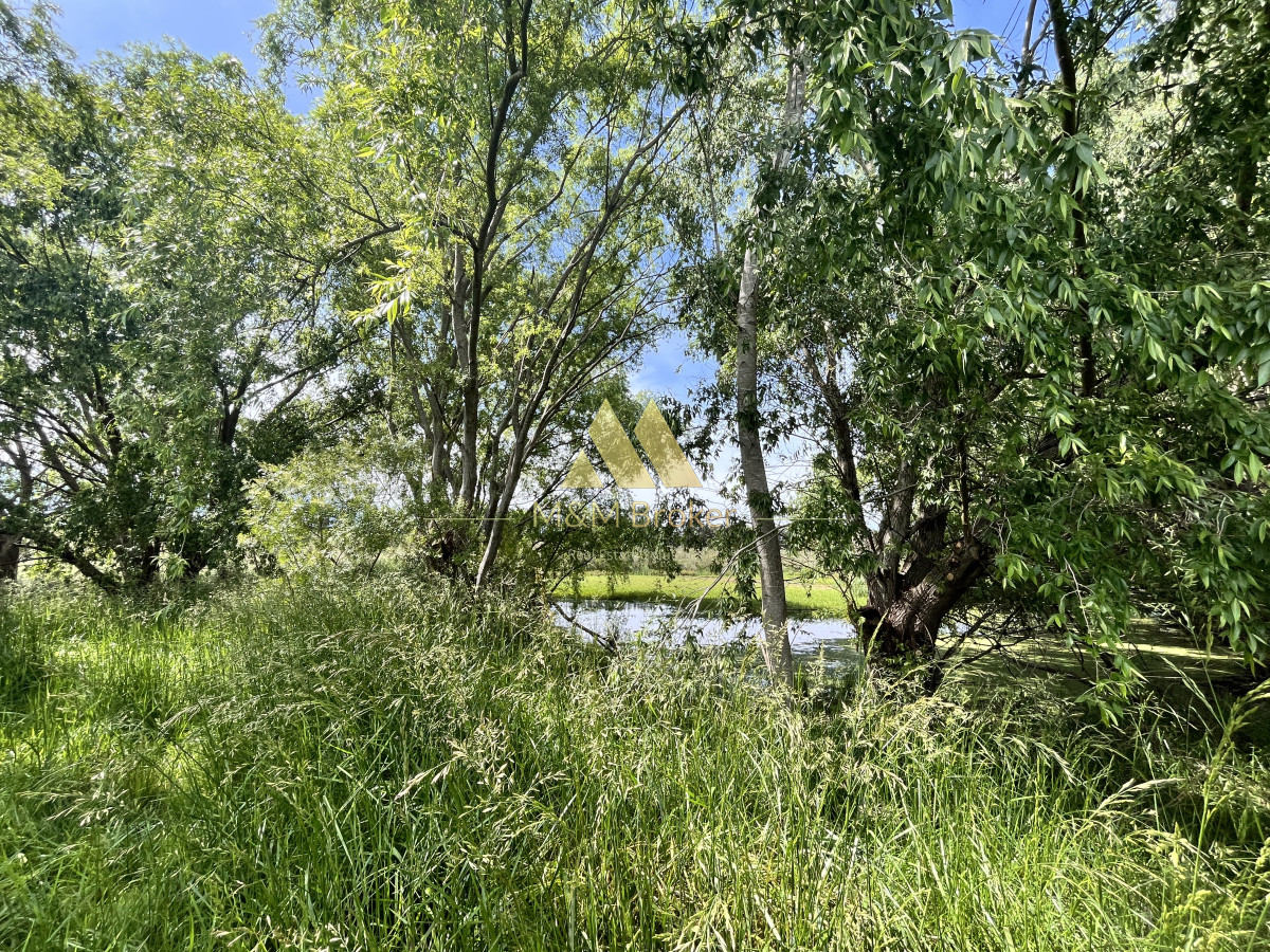 Chacra ID.626 - Venta chacra 6ha próximo a Laguna de los Cisnes Punta del Este