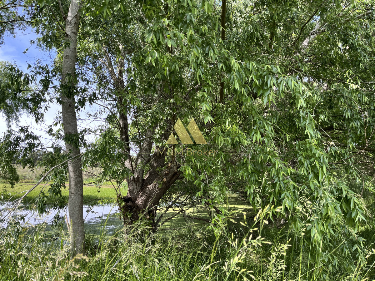 Chacra ID.626 - Venta chacra 6ha próximo a Laguna de los Cisnes Punta del Este