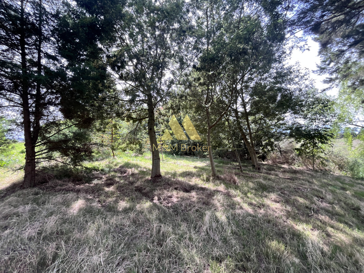 Ruta Interbalnearia - GoPunta - Portal Inmobiliario de Punta del Este - Maldonado