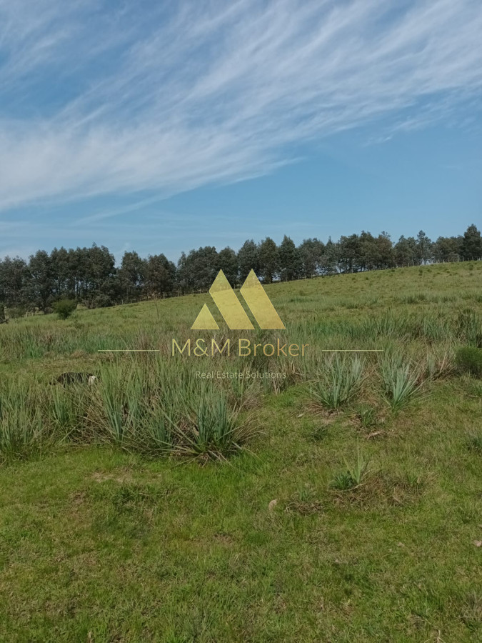 Chacra ID.742 - Chacra a minutos del mar