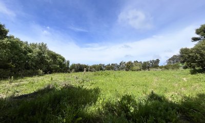 Venta chacra 6ha próximo a Laguna de los Cisnes Punta del Este