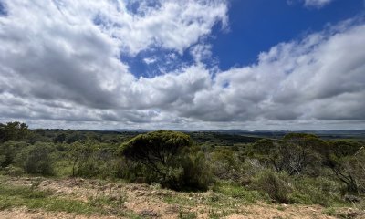 Venta chacra 4,5 ha Maldonado