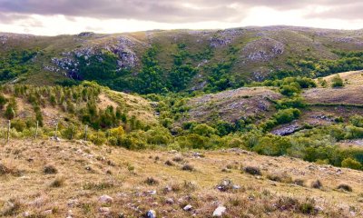 Venta para fraccionar CHACRAS EN ALTURA, SIERRAS DE MALDONADO