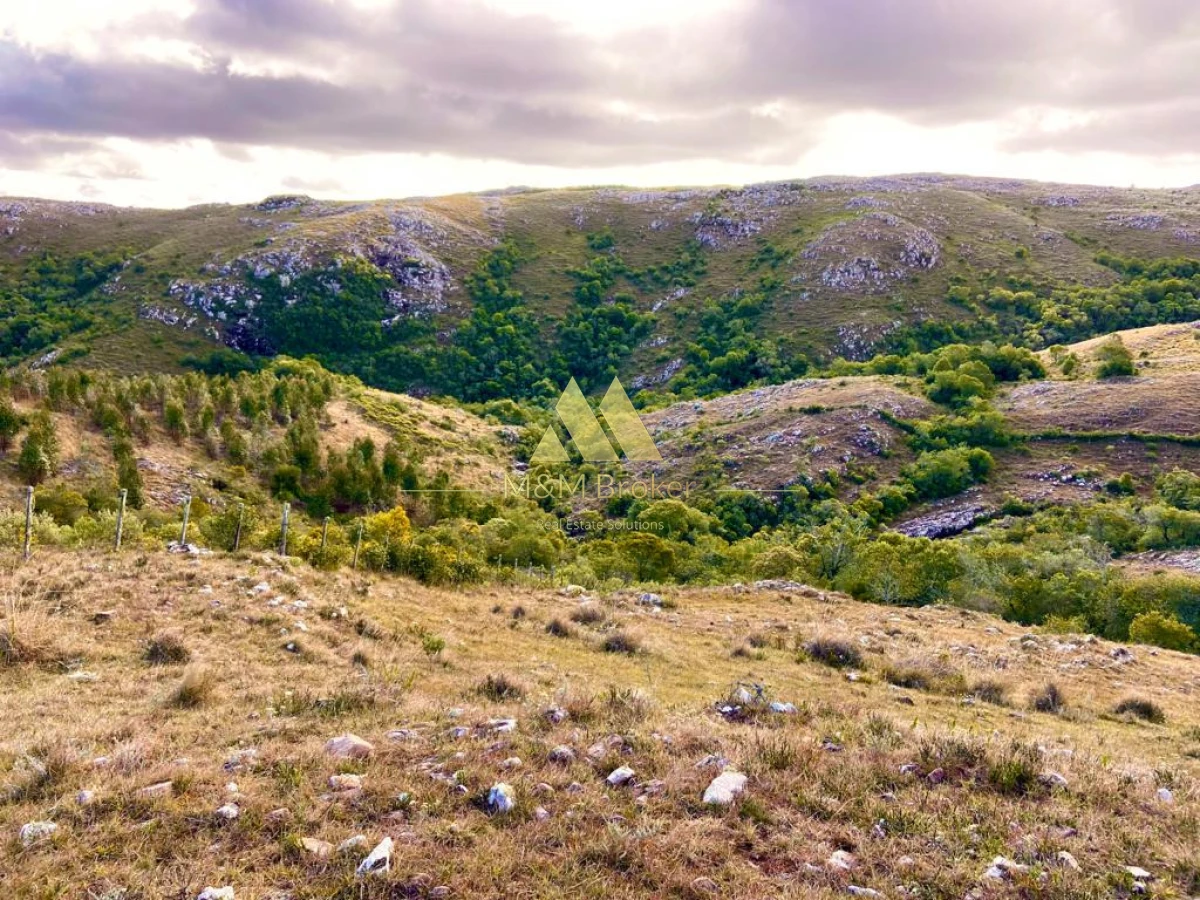 Campo Ref.850 - Campo de 52 Ha, Exclusivo en Maldonado Cerro Catedral!!!  